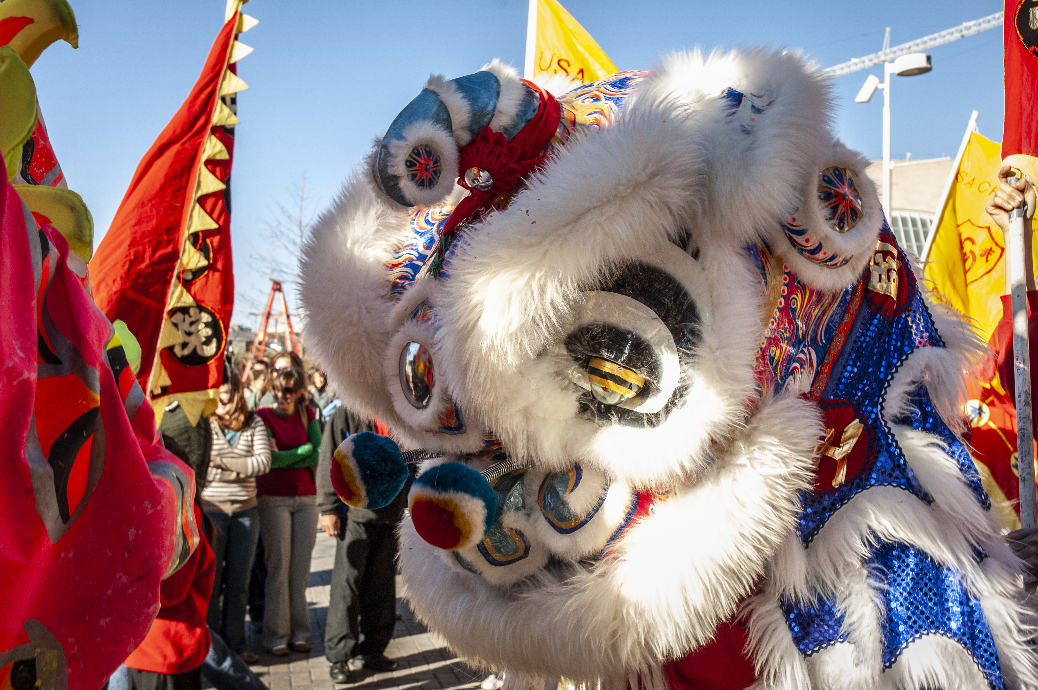 Chinese New Year